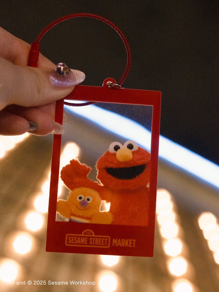ぬいぐるみフォト アクリルキーチェーン(キーホルダー)｜SESAME STREET