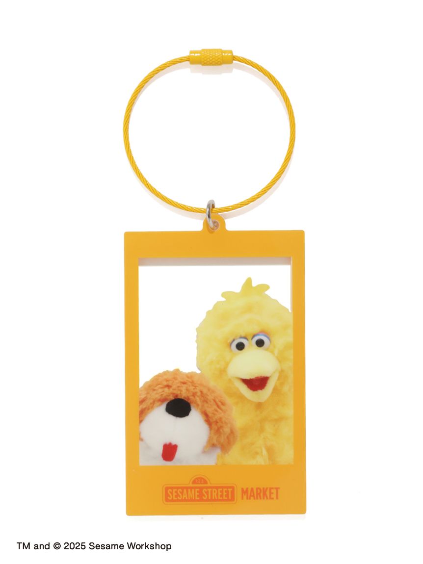 ぬいぐるみフォト アクリルキーチェーン(キーホルダー)｜SESAME STREET