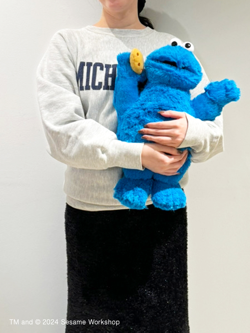 ぬいぐるみM クッキーモンスター(ぬいぐるみ)｜SESAME STREET