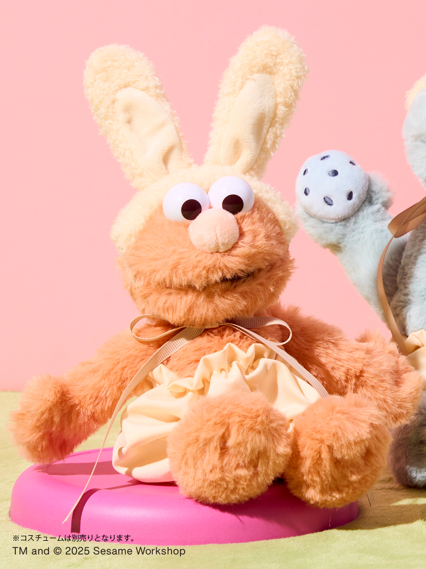 ぬいぐるみコスチューム うさ耳＆パンツセット【Sサイズ用