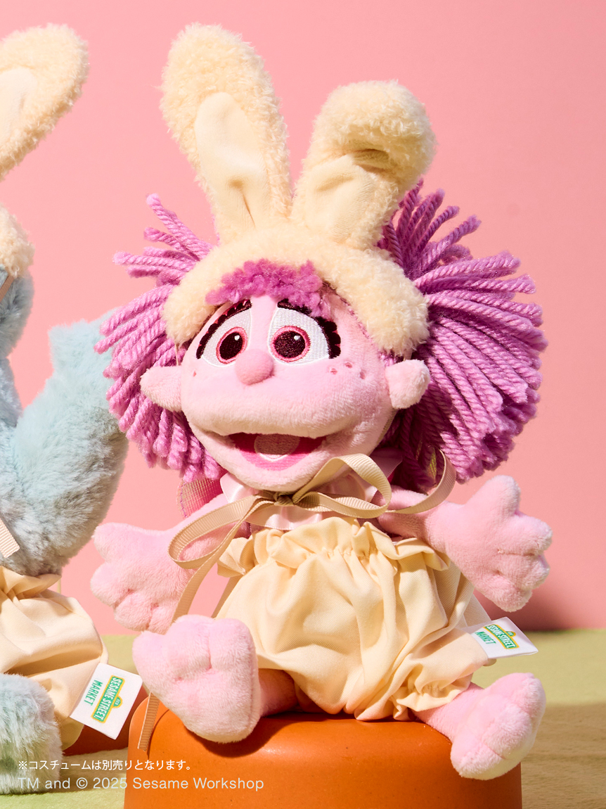 ぬいぐるみコスチューム うさ耳＆パンツセット【Sサイズ用】(その他