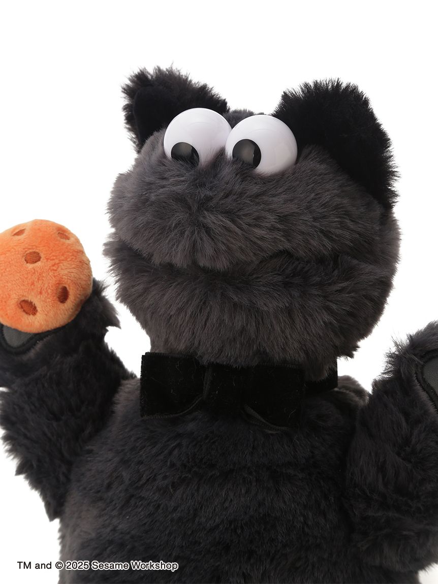ぬいぐるみS クッキーモンスター キャット(ぬいぐるみ)｜SESAME