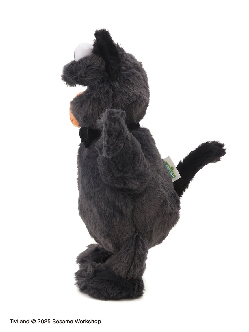 ぬいぐるみS クッキーモンスター キャット(ぬいぐるみ)｜SESAME