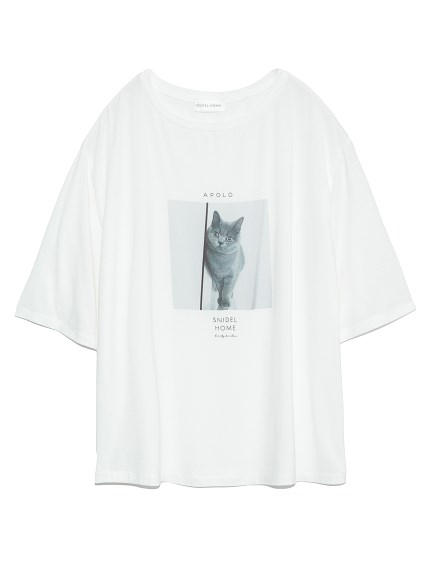 Catプリントｔシャツ カットソー Tシャツ スナイデルホーム Snidel スナイデル の通販サイト 公式